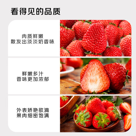 Jingmi Dandong Strawberry 99 Beauty Cream Fruit Gift Box Fresh, Net Weight 1Jin Jin is equal to 0.5kg, single fruit 15g + straight from the source