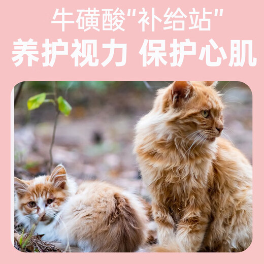 OIMG Pipi Manor No. 6 20 Jin Jin equals 0.5 kg stray cat rescue cat food full price adult cat food 4kg