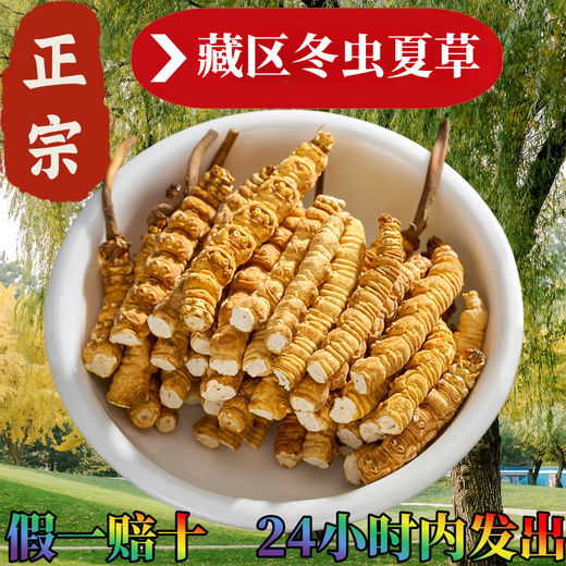 
Authentic Xinazang Qu Cordyceps sinensis broken grass Cordyceps sinensis broken grass self-eating gift nourishing health 10 grams special package Authentic Nagqu Broken Cordyceps sinensis 10 grams special package