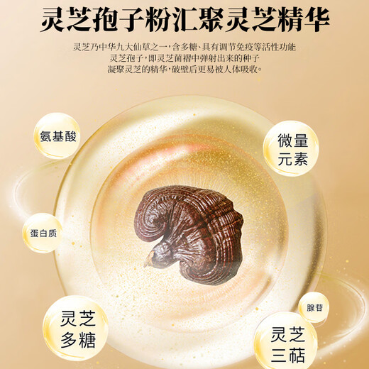 Shiyintang Ganoderma Lucidum Spore Powder Powder Box Guanxian Ganoderma Lucidum Health Products Envoyez directement des cadeaux aux anciens 2g / sac * 60 sacs 120g