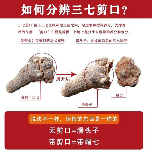 Peking Tongrentang Wenshan ausgewählte Sanqi Kopf authentische Sanqi -Pulver Yunnan Chunqi 20 Köpfe 30 Köpfe Tianqi Keine geschnittenen Schiebköpfe Sanqi Pulver. Kostenloses Schleifen sanqi Ultrafeine Pulver mit Gleitköpfen Sanqi 20 No Cuts (500 g)