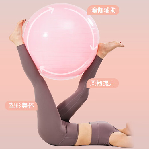 
Langwei Yoga Ball Fitness Ball Thickened Explosion-proof Adult Pregnant Midwifery Balanced Sports Anti-Slip Massage Ball Strong Elastic and Anti-Compression Hibiscus Purple [Thickened riot] 65cm (Height 160-165cm)