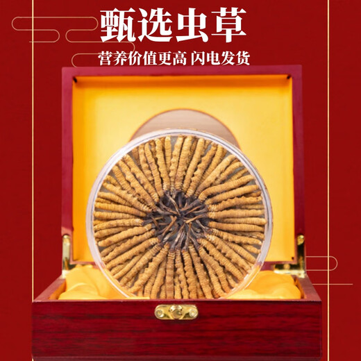 
Authentic Cordyceps sinensis first period selected nourishing dry goods two gram gift boxes for gifts and nutritious Cordyceps tonics, authentic Cordyceps sinensis in Tibetan areas, 80 gram
