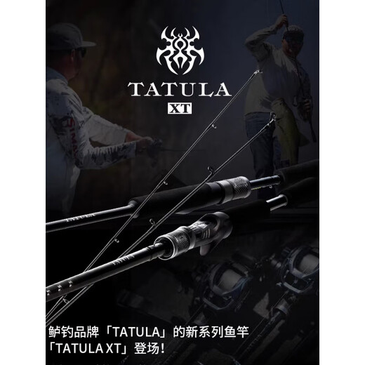 达亿瓦（DAIWA）蜘蛛竿鲈钓竿鲈翘鳜鱼泛用路亚远投竿 1.98m 黑色 682LFS