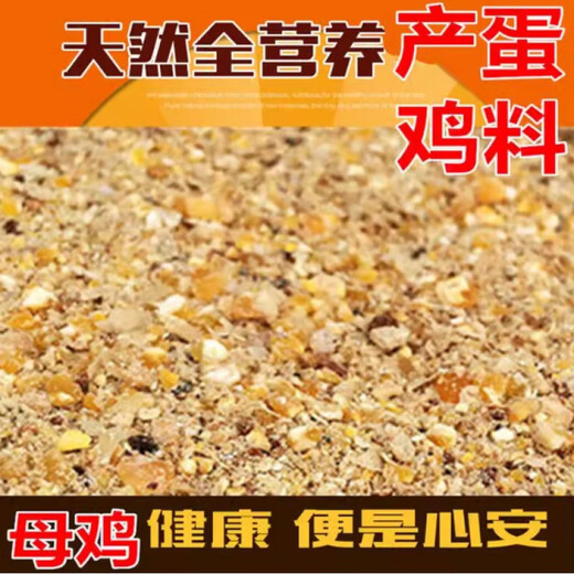 OIMG corn kernels for chicken feed, laying hens, full price feed, chicken, duck, goose, quail, 100 Jin, Jin equal to 0.5 kg, chicken food, 100 Jin, Jin equal to 0.5 kg (nationwide to towns and villages) new store opening (first