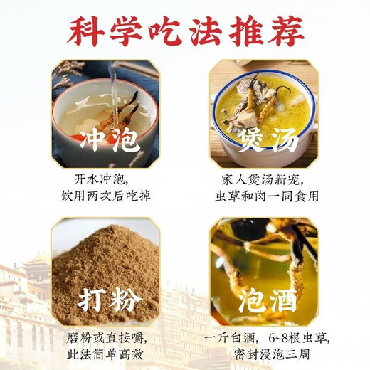 藏区直发正宗天然高海拔冬虫夏草断草干货大号虫草纯肉节自吃实惠 藏区高海拔大断草1克（体验装）