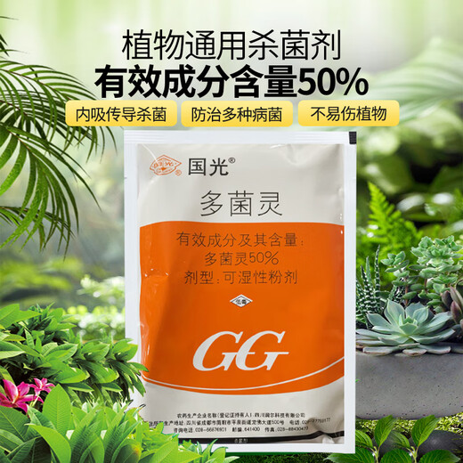 Guoguang 50% fungicida de carbendazim en polvo, bacterias especiales para el mildiú polvoriento de la mancha negra de la hoja amarilla, medicamento de uso común para las enfermedades de las flores de rosas suculentas