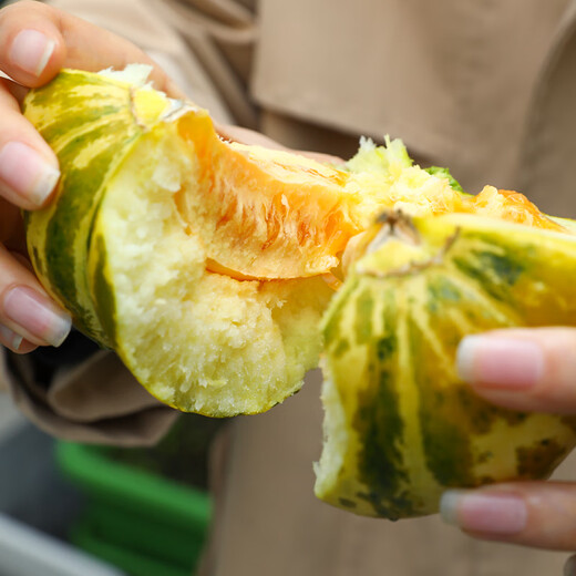 Beishu Bingtangzi Melon Seeds Collection Boyang Melon Seedlings Flower Skin Melon Seeds 100 capsules/bag