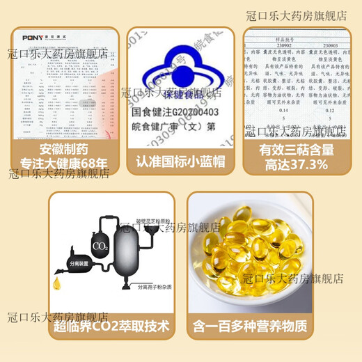 仁堂灵芝孢子油软胶囊破壁粉官方送礼 3盒装(80粒*3)【滋补调养一个周期】