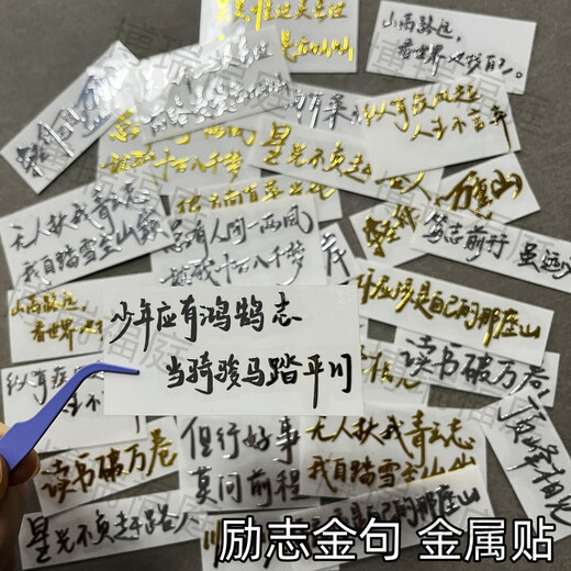 3d立体金属贴纸励志文字语录高考少年激励金句金属贴书桌书本手机 L690号-看世界也找自己  银色