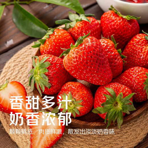 Jingmi Dandong Strawberry 99 Beauty Cream Fruit Gift Box Fresh, Net Weight 1Jin Jin is equal to 0.5kg, single fruit 15g + straight from the source