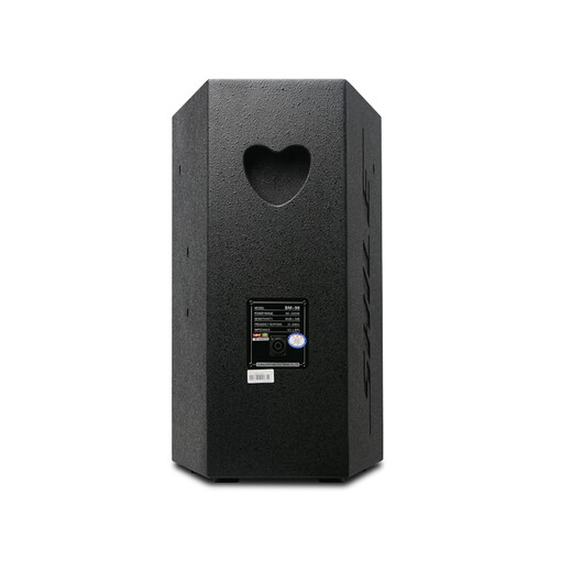 SHILE 12-inch professional Ktv passive speaker stage audio conference multi-function hall full-range home karaoke speaker BM-99 one