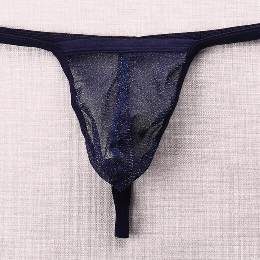 European and American GAY men's underwear European and American transparent fine mesh pouch low-waisted single T-pants large size ultra-thin T-pants navy blue 2XL