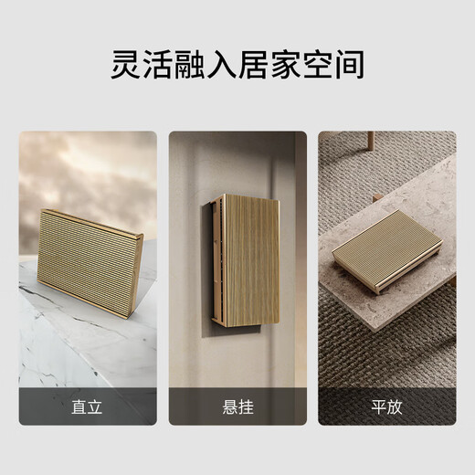 B&O Gong Jun endorses Beosound Level Bluetooth speaker, portable home high-end art audio, b& audio, light oak color, national subsidy, New Year gift