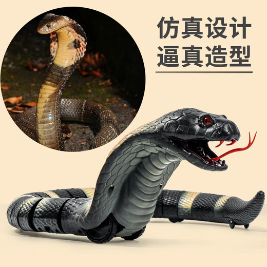 博纳思抖音新奇特仿真遥控动物整蛊遥控蛇遥控蜘蛛玩具 迷你版-感应蟑螂棕色款9902A 1