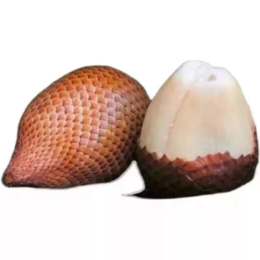 Snake fruit saplings potted snake fruit saplings Thailand Indonesian snake fruit saplings can be planted in the north and south. One 3-year-old seedling (more than 10 years old is easy to maintain) 50cm (inclusive)-60cm (exclusive)