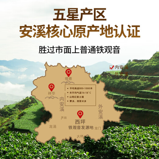 传奇会乌龙茶 安溪铁观音 清香型特级500g轻火礼盒装茶叶自己喝送礼