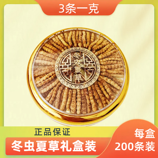 200/100/50/30 cajas de regalo para ancianos 0.5 gramos cada cordyceps de primera etapa de alta calidad 0.5 gramos cada cordiceps de alta calidad Nagqu, Tibet 100 Cordyceps de alta calidad