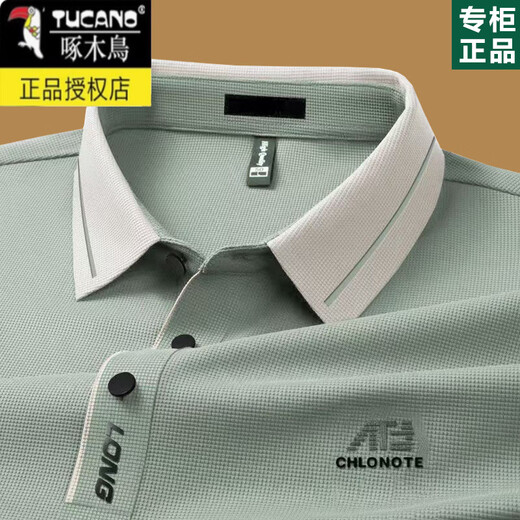 啄木鸟男士长袖t恤2025春秋薄款中年爸爸翻领POLO打底衫秋装上衣 16823浅绿 M 165【建议100-120斤】