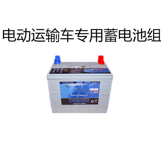 Chaowei electric transport vehicle special battery pack 6EVF32.2A 48V 1 piece