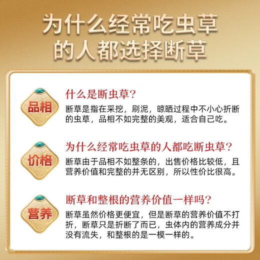 High-altitude Cordyceps sinensis in Tibetan areas, selected large-sized Cordyceps nourishing products, 10 grams of whole insect pure meat festival, fine whole insect meat festival [without grass head]