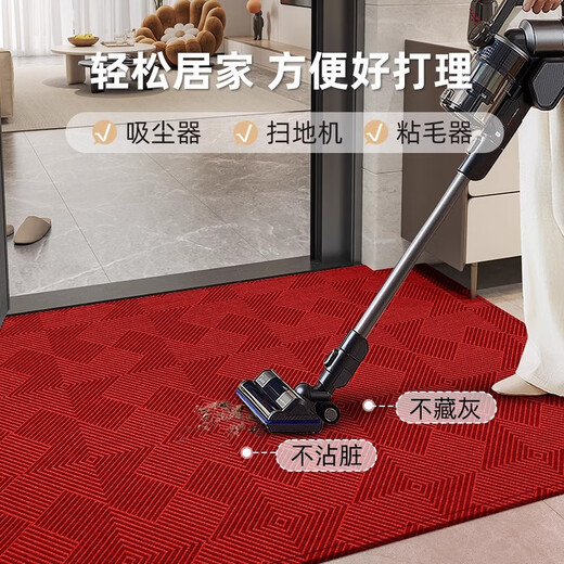 云皎进门地垫入户门垫高级感轻奢新款门2025红色垫子门口耐脏免洗门外 卡特-15618 120x160cm