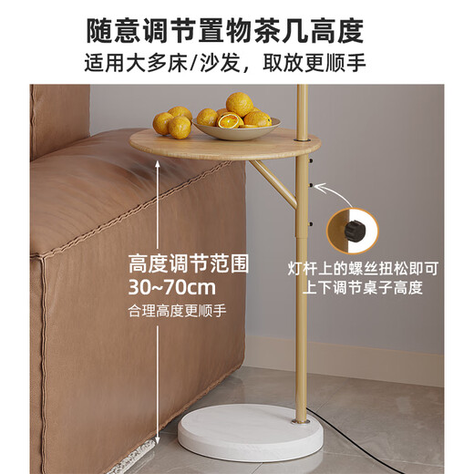 XMSJ创意置物架一体书房卧室氛围钓鱼灯 原木奶油风沙发角客厅落地灯 1全光谱原木小雏菊带盘10W