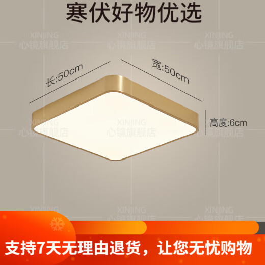 全铜户外吸顶灯别墅大门口门前灯室外过道阳台灯防蚊虫庭 X3893-500/方形