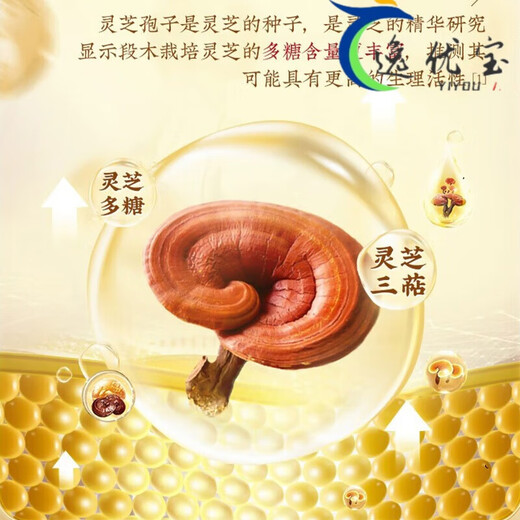 北京同仁堂破壁灵芝孢子粉礼盒装官方中老年过年送礼精选 玺洋特一牌 3盒装