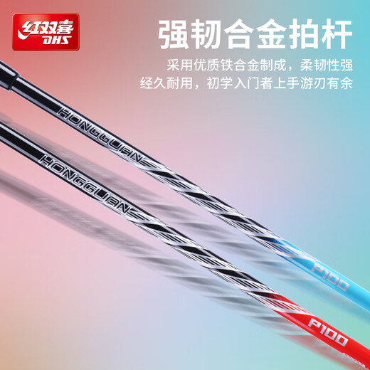 红双喜（DHS）羽毛球拍对拍套装训练比赛成人儿童学生防磨深凹槽羽拍P100 附3球