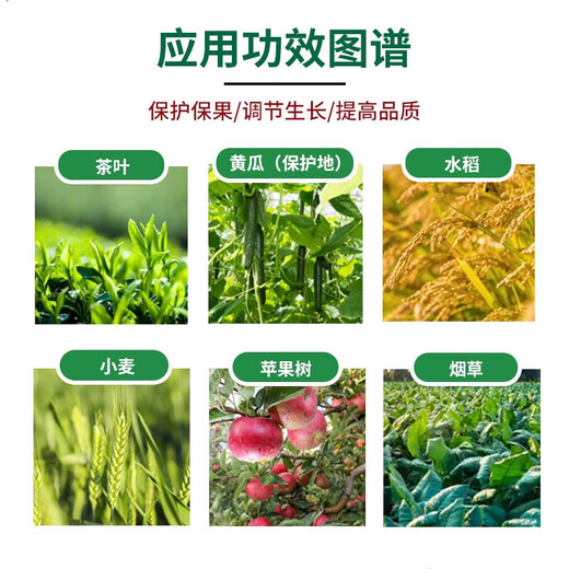 Bihu Chilin Yi Brassica protects flowers and fruits, antidote pesticide damage, promotes growth, improves quality and increases yield Bihu plant growth regulator 50g