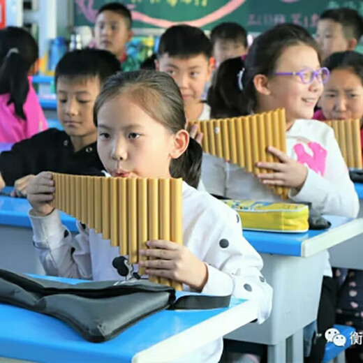 姒桀品牌排箫22管初学入门专业学生成人ABS塑料树脂排萧学校乐器 22管G调绿色无底座反手左持