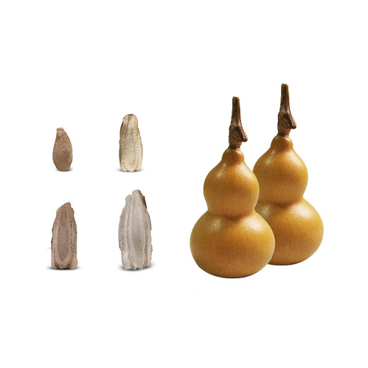 Extra small ornamental gourd seeds, extra large sub-waisted large wine gourd seeds, seedlings, spring and summer balcony potted plants, large winter melon gourds, 5 pieces