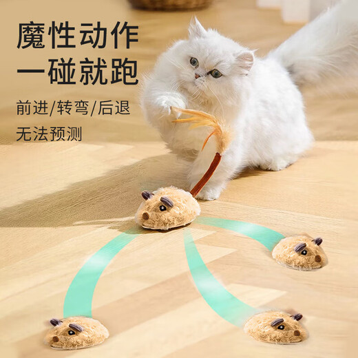 Zhenyou pet cat toy cat automatic cat ball electric mouse self-exciting tool teeth grinding kitten kitten pet supplies