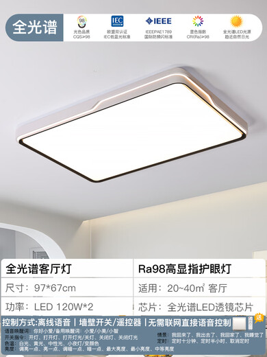 佛山灯饰全光谱护眼卧室灯led吸顶灯现代简约客厅灯主卧房间餐厅 白黑款9767cm离线语音[全光谱