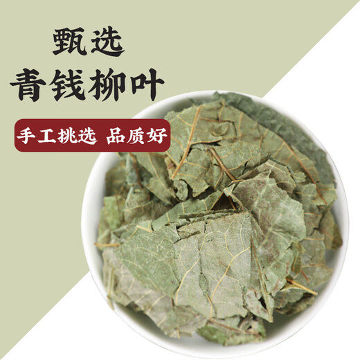 Jiujiuheren Qingqian Willow Leaf Chinesische Heilmaterialien: Jinqian Willow Tea Qingqian Willow Rindfleisch Tee Wasser Burdock Rasur Murata Health Tea [ausgewählt] Qingqian Willow Blatt 20g Tasche