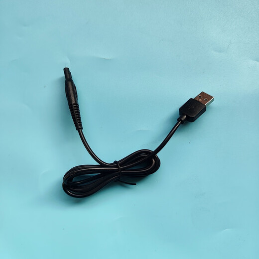 Bill 9731/9732/9736/9736f Shaver Whitening Raver Ladekabel Ladegerät Zubehör ein Ladekabel (ovales Doppelloch) + Stecker