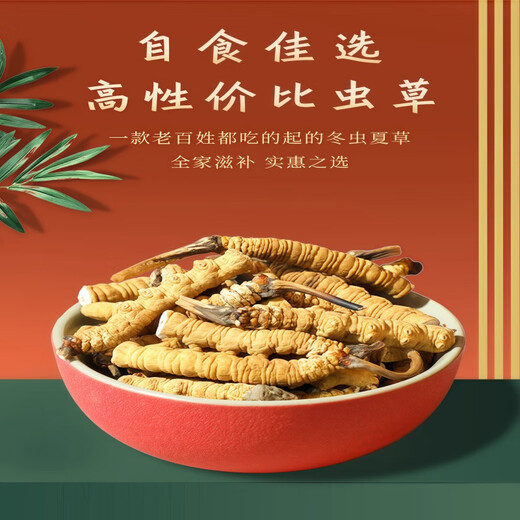 【支持质检】10克大断草正宗冬虫夏草断草虫草断草自食滋补 虫草 20克装送两克发22克