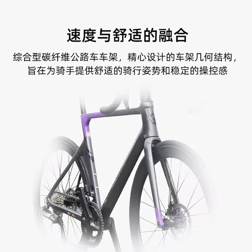 JAVA维苏威VESUVIO全碳纤维公路车电变105 7170桶轴油碟电子变速 紫色 S[身高162-170]