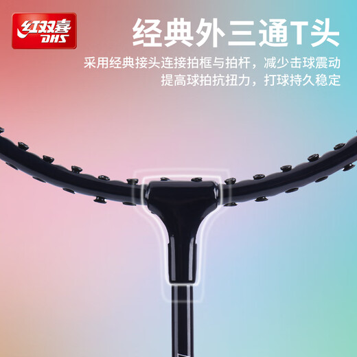 红双喜（DHS）羽毛球拍对拍套装训练比赛成人儿童学生防磨深凹槽羽拍P100 附3球