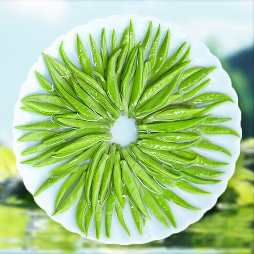 御贡仙芽特级头采雀舌绿茶茶叶2025新茶礼盒送礼明前全芽头嫩芽 明前雀舌【500克罐装】