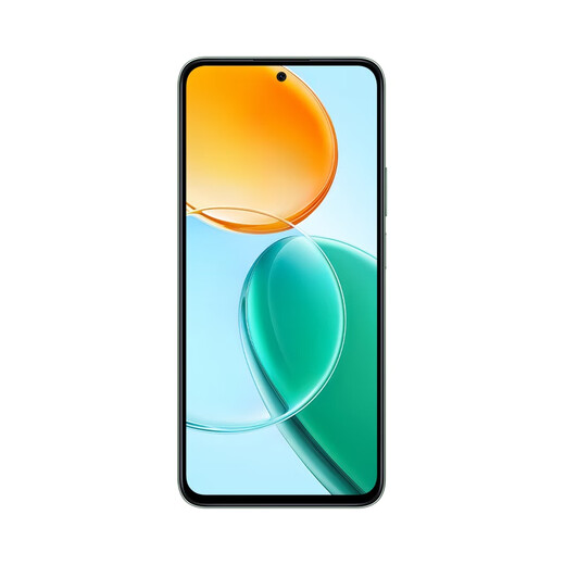 荣耀（HONOR）Play9T 大屏AI 6000mAh大电池 双扬大音量 8GB+256GB 松石绿  5G AI智能手机【移动用户专享】