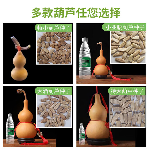 Extra small ornamental gourd seeds, extra large sub-waisted large wine gourd seeds, seedlings, spring and summer balcony potted plants, large winter melon gourds, 5 pieces