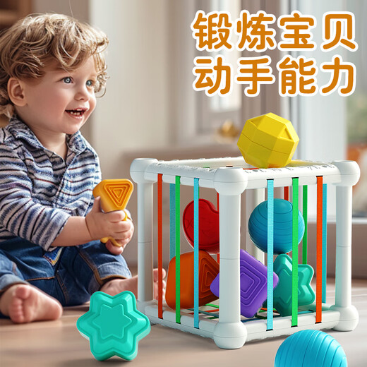 COODORA塞塞乐婴儿玩具6个月以上六面体益智宝宝早教数字配对积木礼物