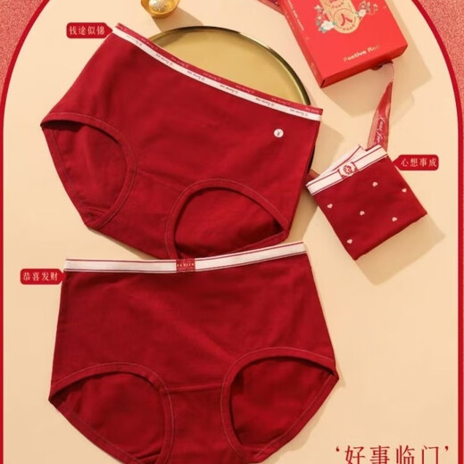 Funie Comes Funie Comes New Women's Modal Cotton Encore Red Panties 1048 Encore Red Large Edition XL 3