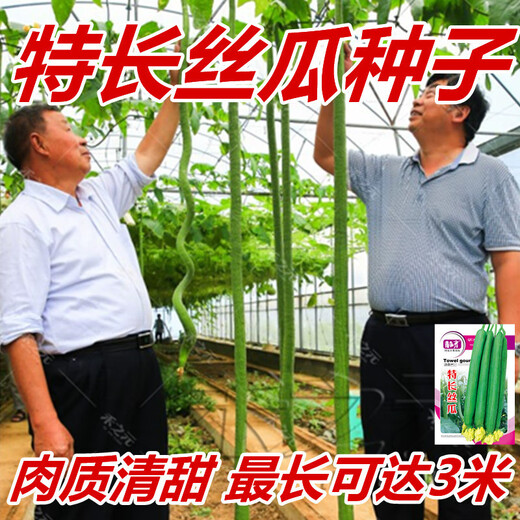 Long luffa seeds are planted in all seasons, early maturing snake-shaped luffa garden pots contain luffa, meat and vegetable seeds. The flesh is sweet. Long luffa seeds are planted all year round. Original 75 capsules. 88% people choose it.