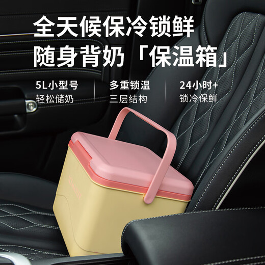 
Ice Master (ICEMASTER) insulation box small outdoor camping food refrigerated heat-keeping box portable fresh breast milk car ice box ice bucket 5L