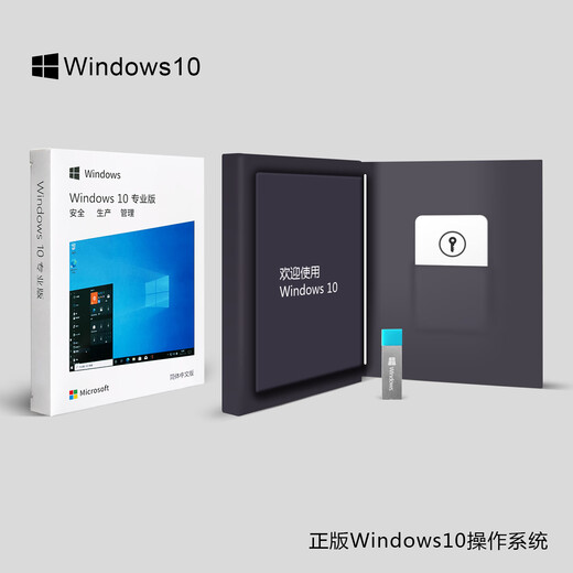 正版win11专业版系统u盘电脑重装Windows10家庭中文版升级Pro纯净 Win10专业版中文简体USB-1台激活