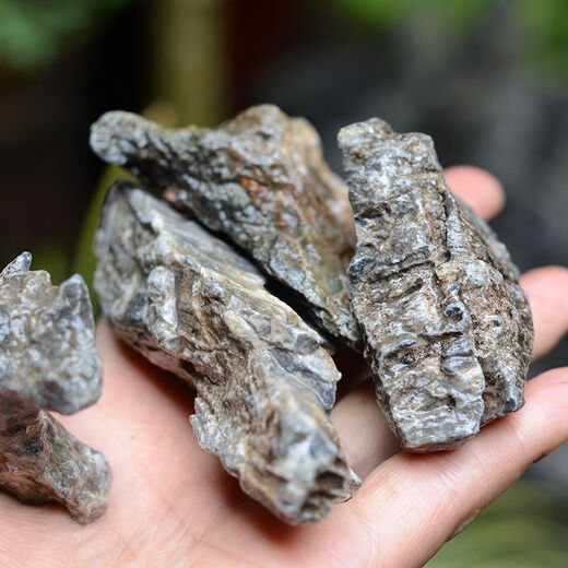 OIMG natural micro-landscape primary color blue dragon stone aquarium fish tank moss plant potted plant decoration grass tank tropical fish breeding turtle 10-12 cm blue dragon stone buy 5 pieces solid hair 10 pieces