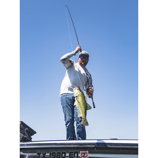 达亿瓦（DAIWA）蜘蛛竿鲈钓竿鲈翘鳜鱼泛用路亚远投竿 1.98m 黑色 682LFS
